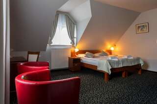 Отель Hotel Skalite Spa & Wellness Щирк Двухместный номер с 1 кроватью или 2 отдельными кроватями-22